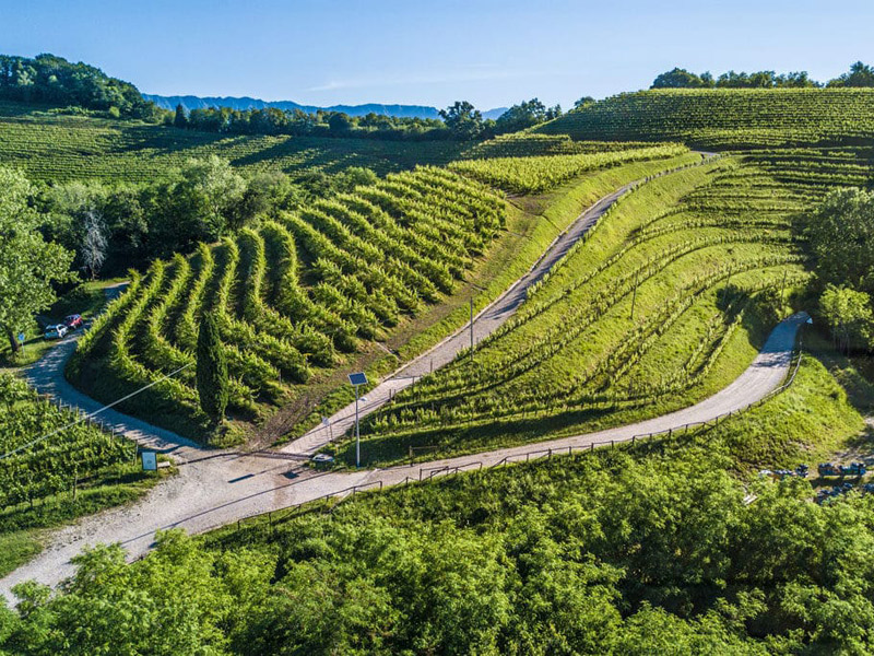 weingut aquila del torre