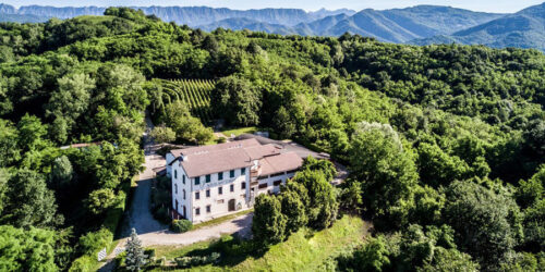 weingut aquila del torre