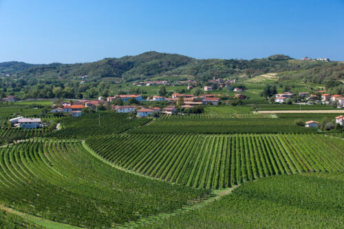 le2terre weinberge