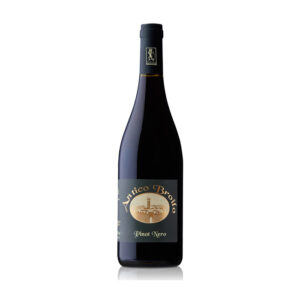 pinot nero antico broilo